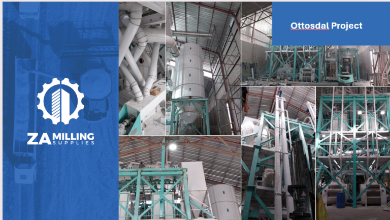 Screenshot 2025-01-24 161927